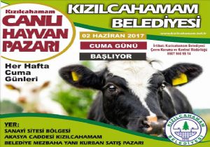 Kızıcahamam a Hayvan Pazarı Açılıyor